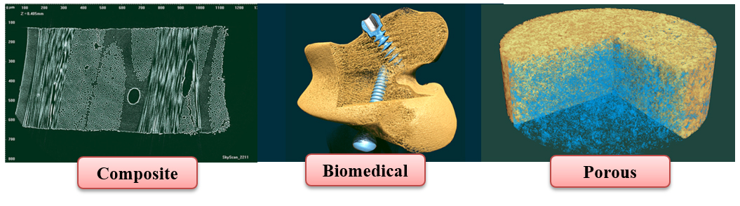 Composite, Biomedical and Porous